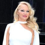 pamela-anderson-netflix-feature.jpg